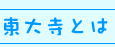 東大寺とは