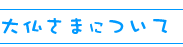 大仏さまについて
