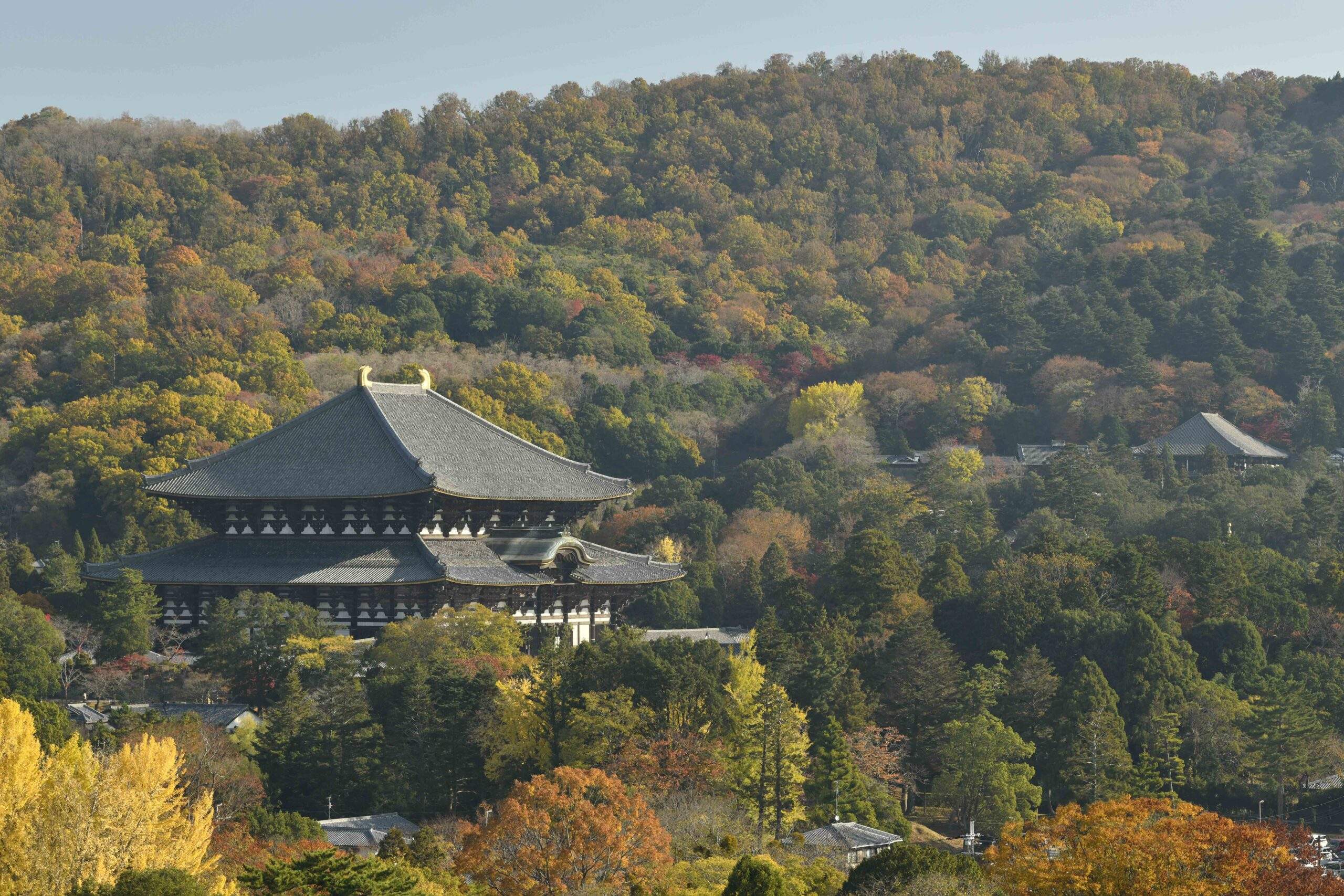 Topページ 東大寺